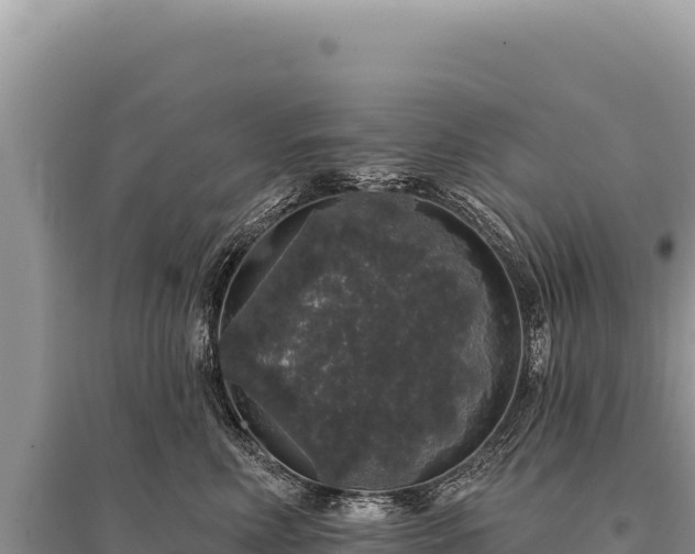 X0000095510618200712211241