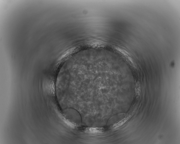 X0000095510622200712211241