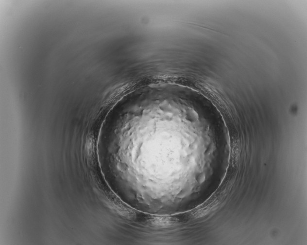 X0000095510623200712211241