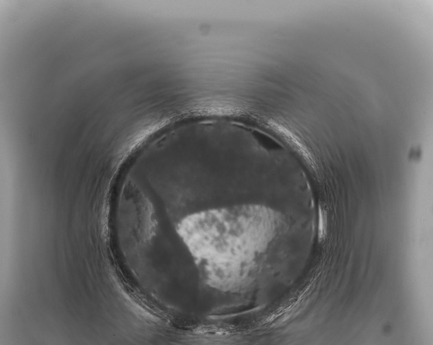 X0000095510627200712211241