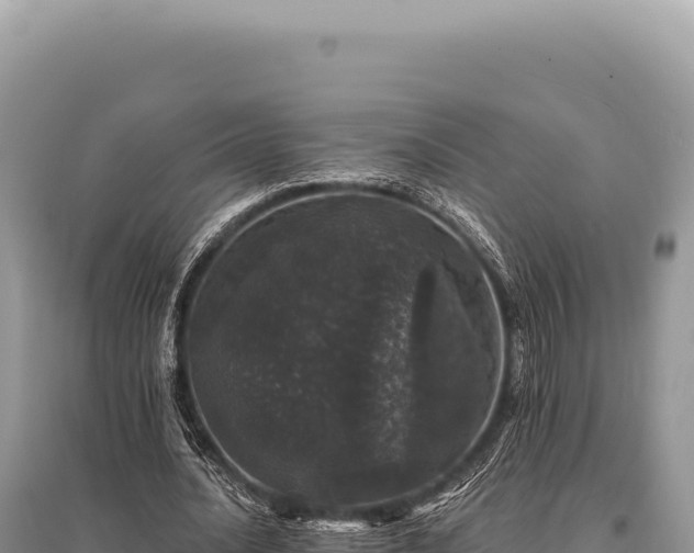 X0000095510628200712211241