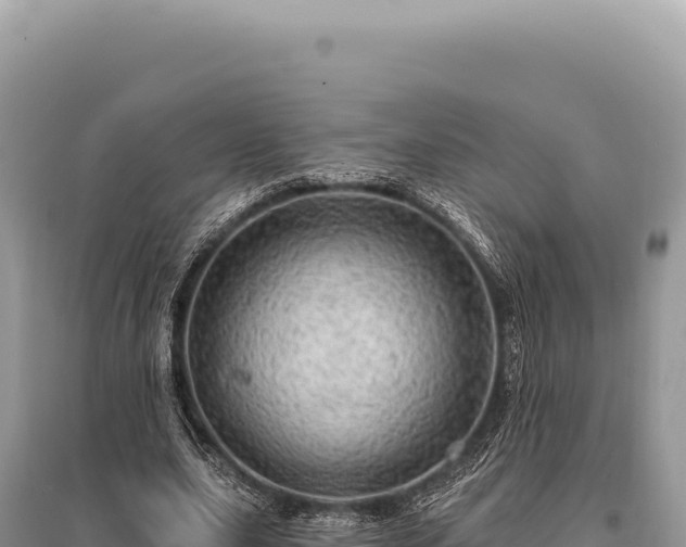 X0000095510631200712211241