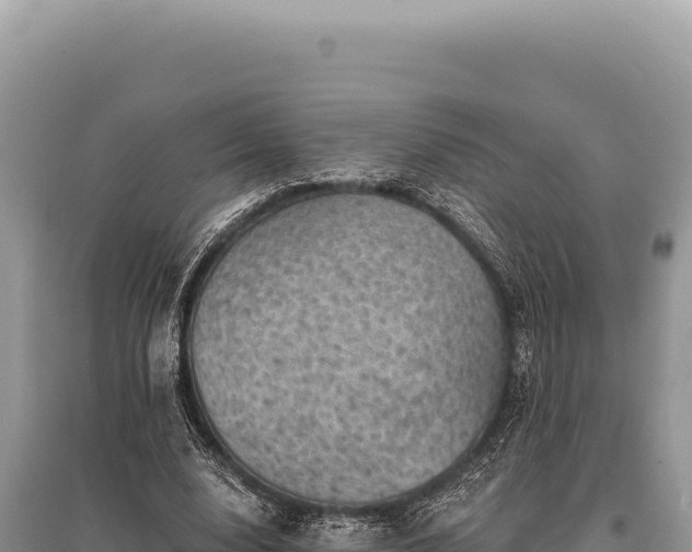 X0000095510632200712211241
