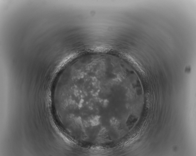 X0000095510634200712211241