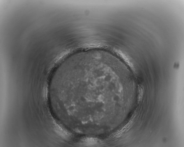X0000095510637200712211241