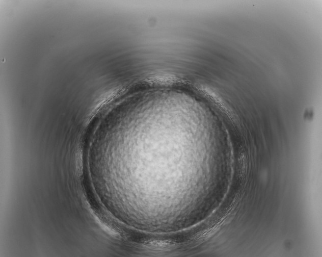 X0000095510638200712211241