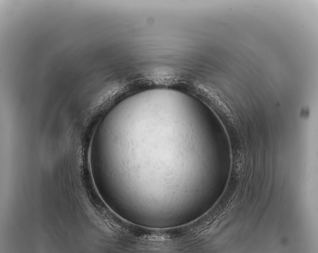 X0000095510639200712211241