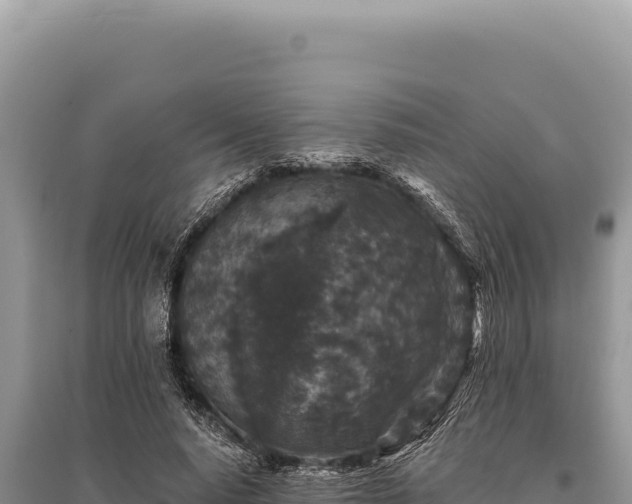 X0000095510640200712211241