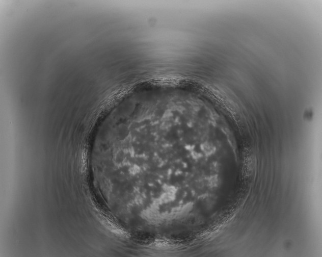 X0000095510641200712211241