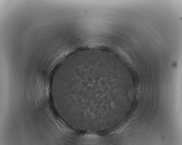 X0000095510644200712211241