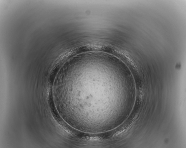 X0000095510645200712211241