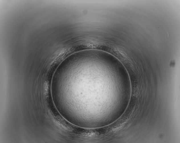 X0000095510646200712211241
