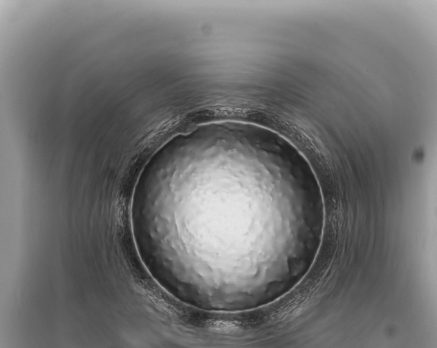 X0000095510649200712211241