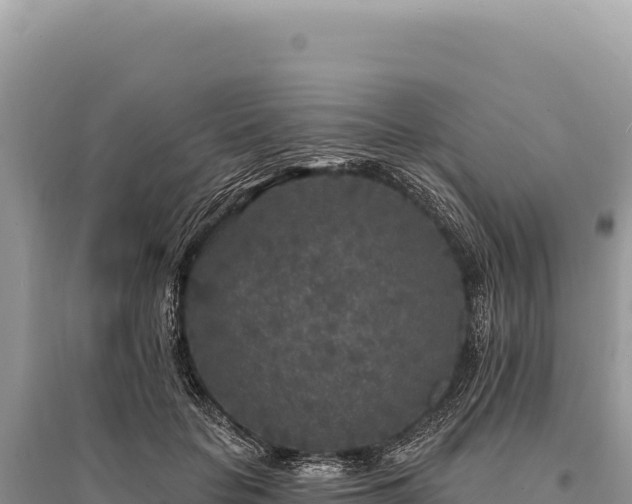 X0000095510653200712211241