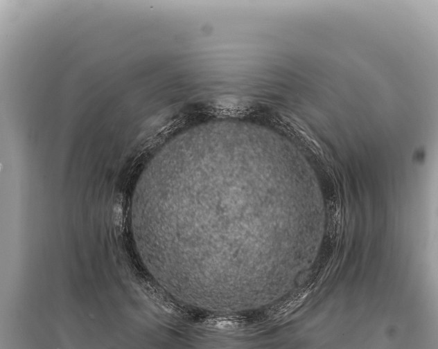 X0000095510655200712211241