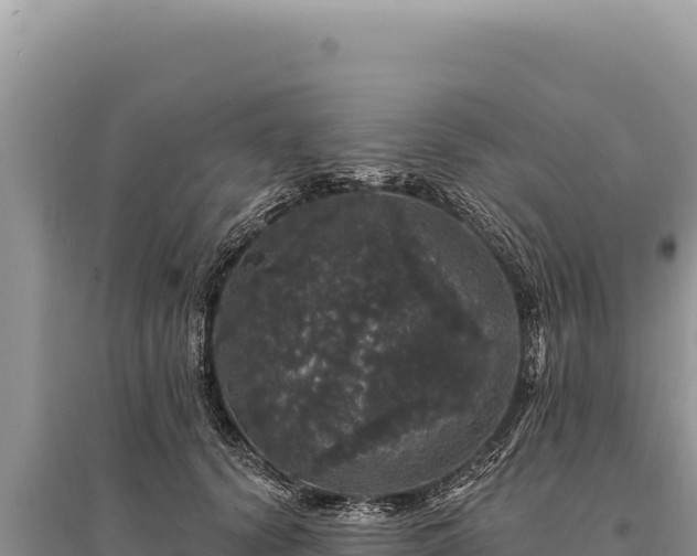 X0000095510656200712211241