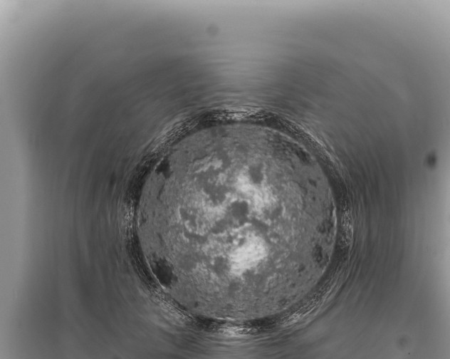 X0000095510657200712211241