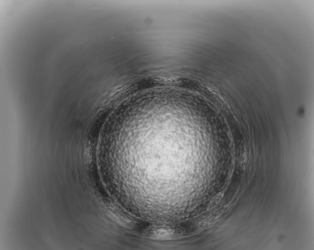 X0000095510658200712211241