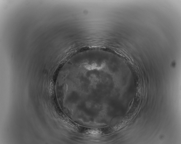 X0000095510659200712211241