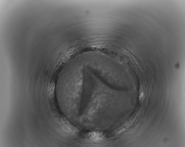 X0000095510660200712211241