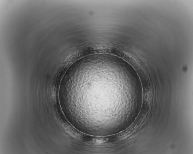 X0000095510662200712211241