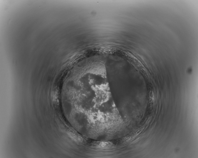 X0000095510663200712211241