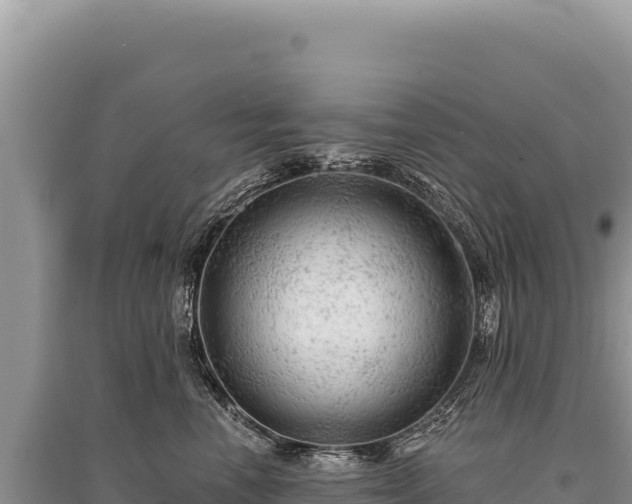 X0000095510666200712211241
