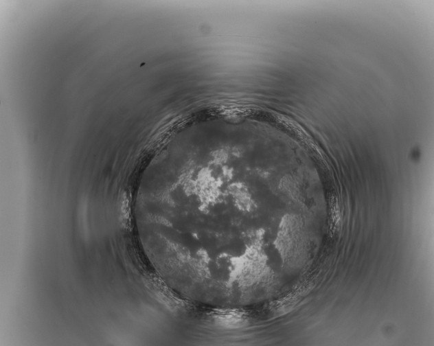 X0000095510667200712211241