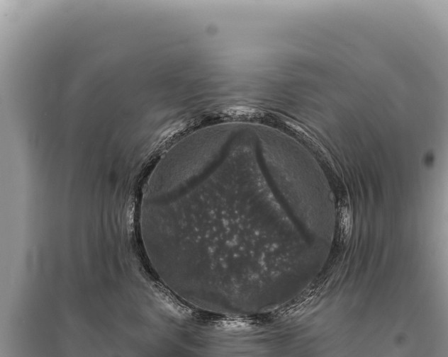 X0000095510668200712211241
