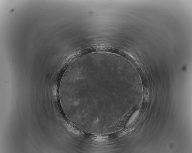 X0000095510670200712211241