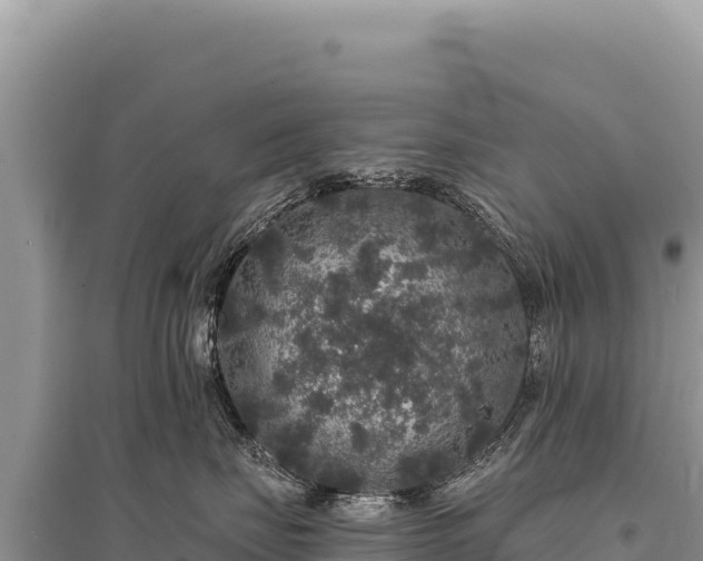 X0000095510671200712211241