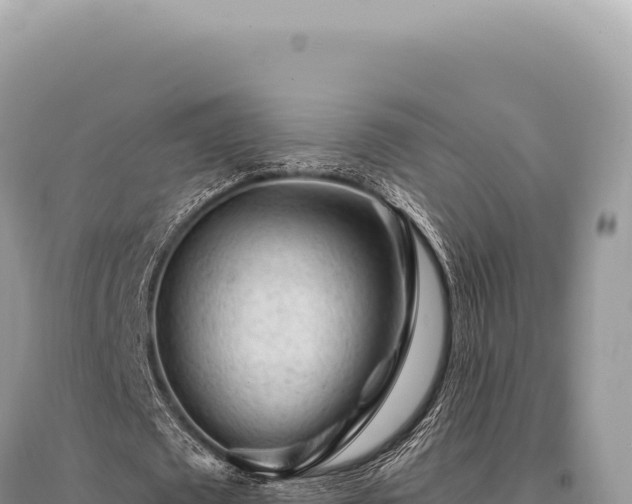X0000095510673200712211241