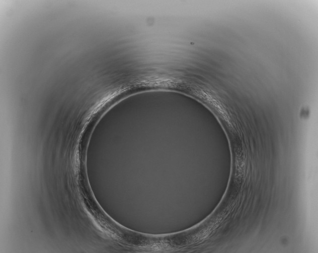 X0000095510674200712211241