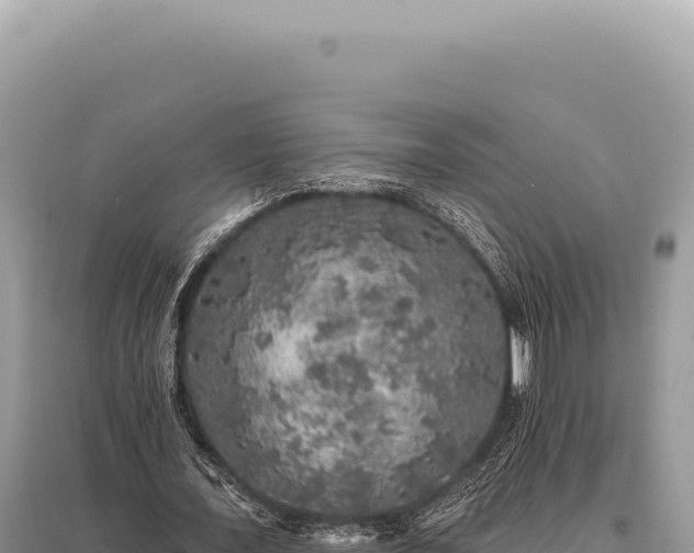 X0000095510675200712211241