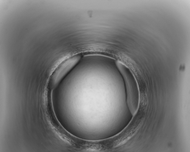 X0000095510676200712211241