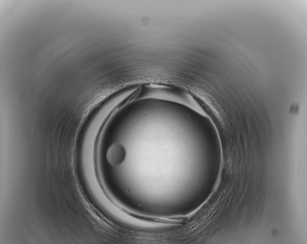 X0000095510677200712211241
