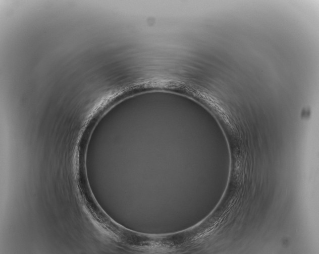 X0000095510678200712211241