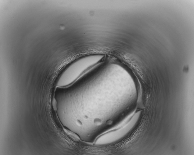 X0000095510681200712211240
