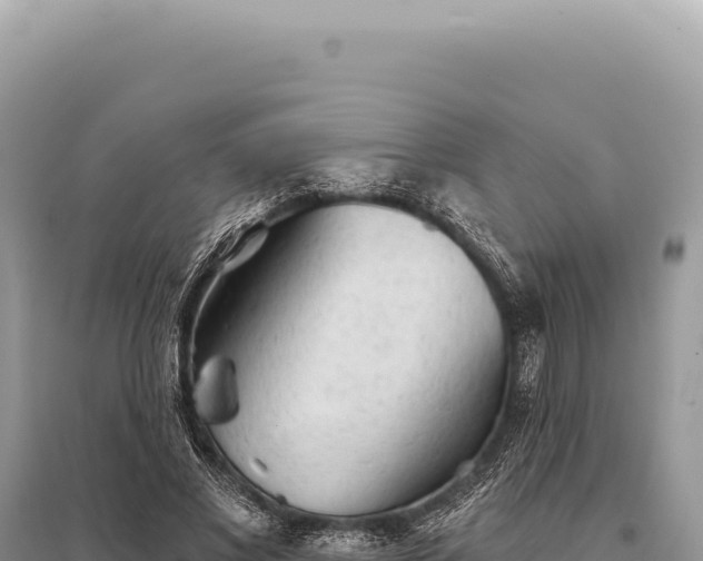 X0000095510685200712211240