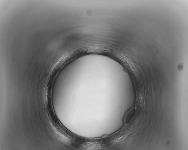 X0000095510686200712211240