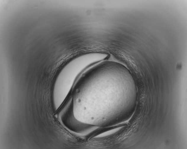 X0000095510689200712211240