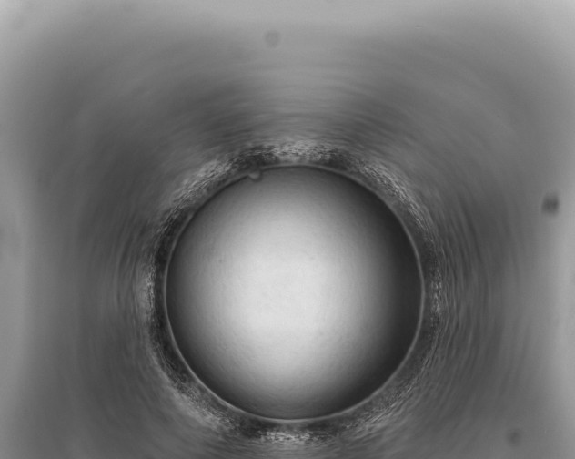 X0000095510690200712211240