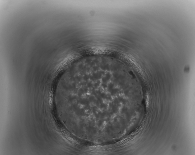 X0000095510691200712211240