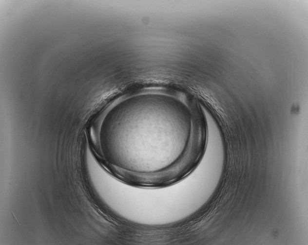 X0000095510692200712211240