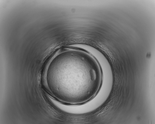 X0000095510693200712211240