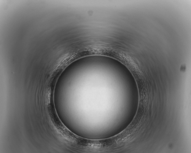 X0000095510694200712211240
