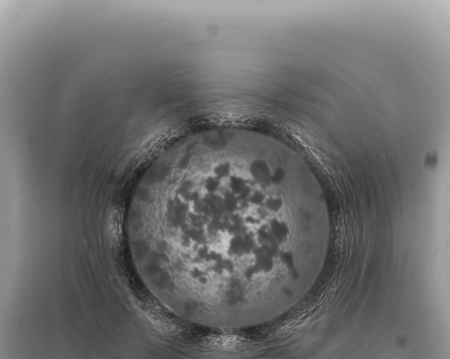 X0000095510695200712211240