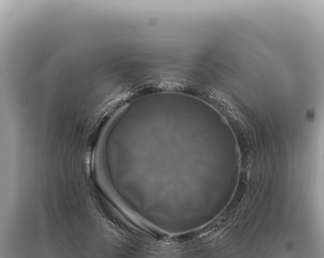 X0000095510696200712211240