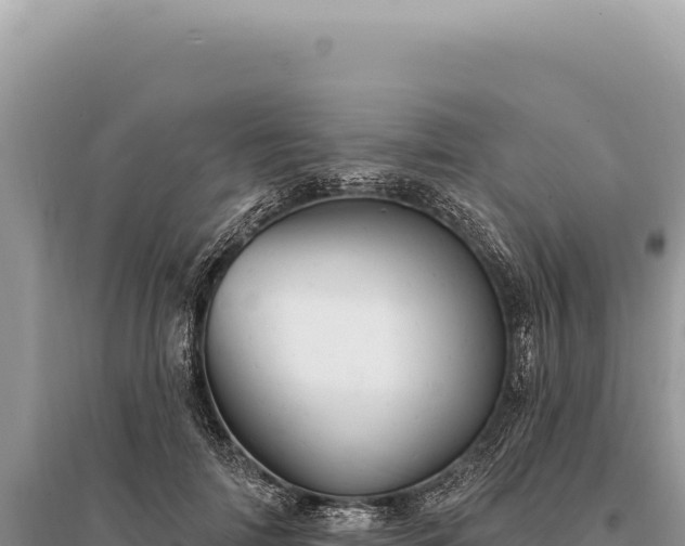 X0000095510698200712211240