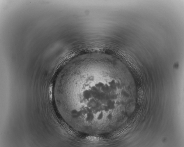 X0000095510699200712211240